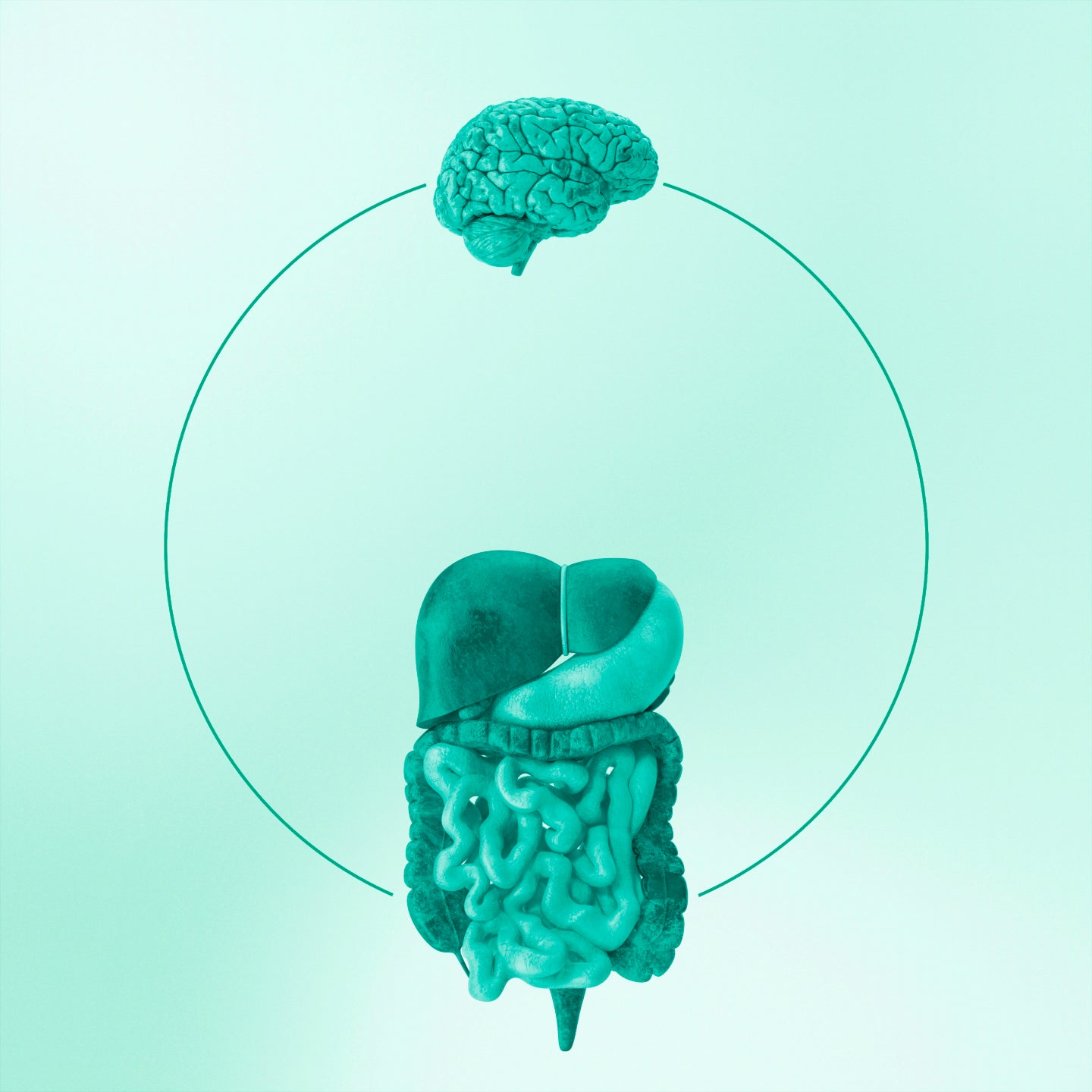 Wie beeinflusst der Darm das Gehirn? Rolle der Postbiotika für die psychische Gesundheit