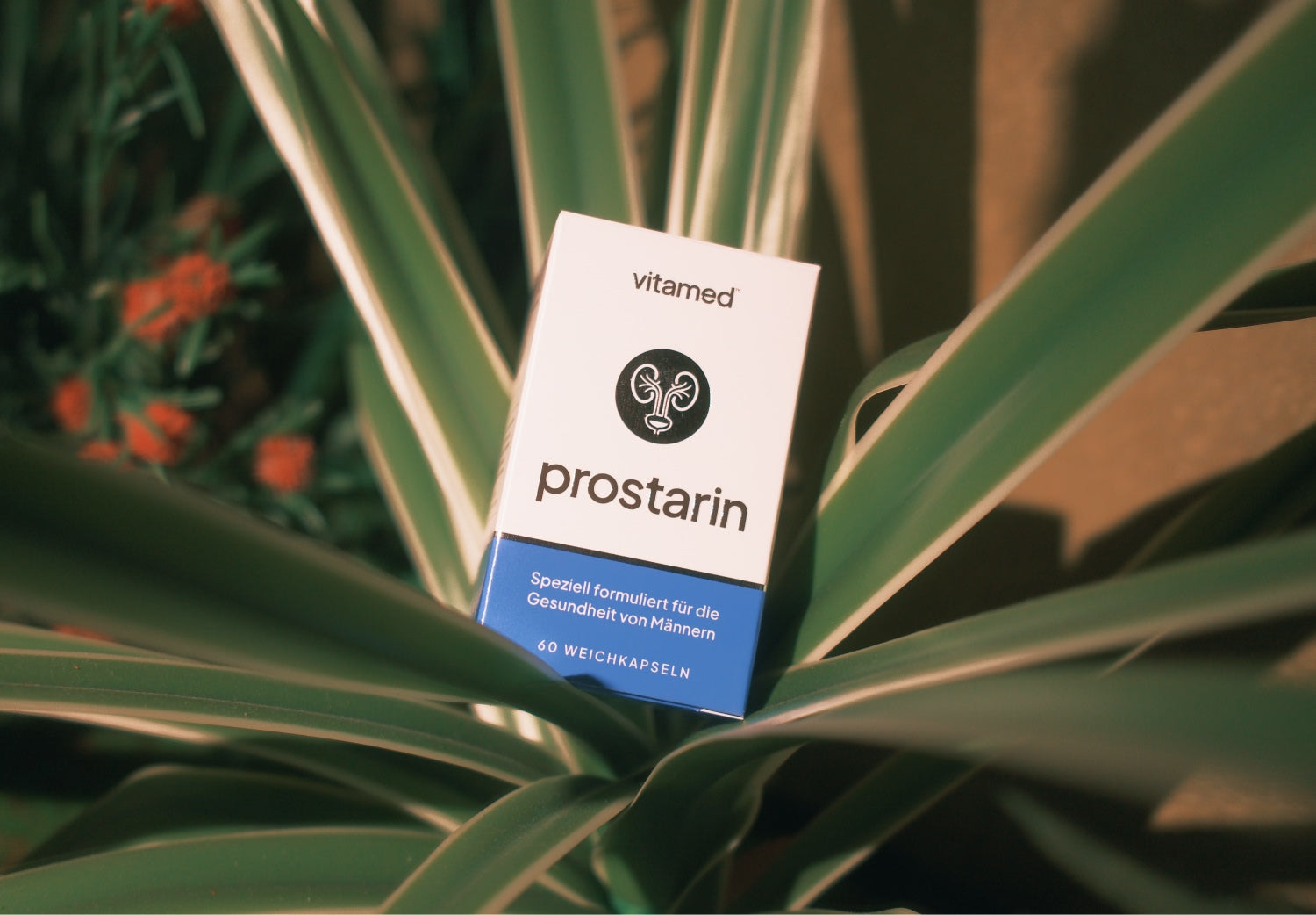 Heißhunger auf Zucker? Der unsichtbare Kreislauf, der Ihren Blutzucker ...