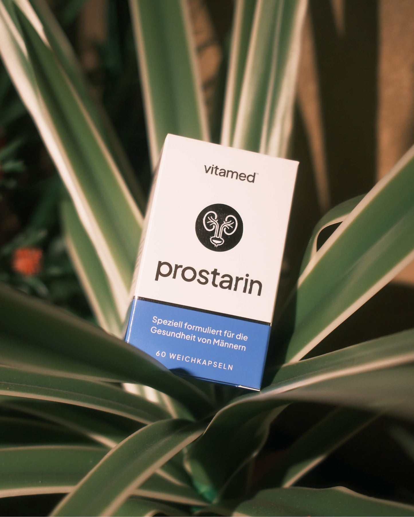 Prostarin – Vitamed